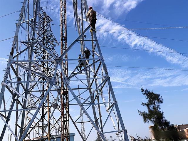 福建电网客户端福建电网官网首页